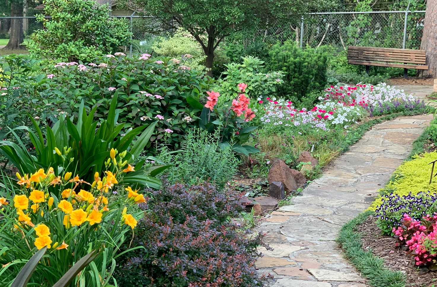 Garden clearance in Tonbridge Kent